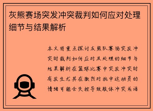 灰熊赛场突发冲突裁判如何应对处理细节与结果解析