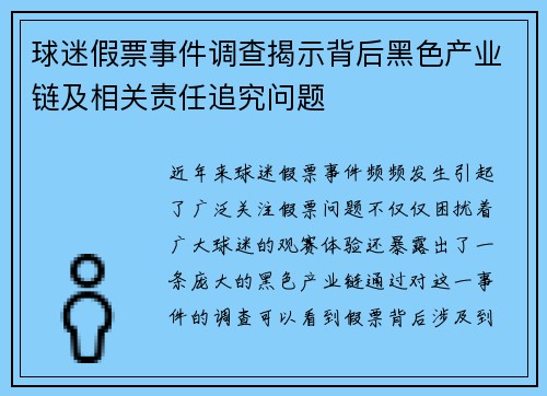 球迷假票事件调查揭示背后黑色产业链及相关责任追究问题 球迷假票事件调查揭示背后黑色产业链及相关责任追究问题